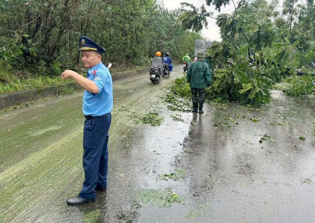Liên ngành đặt ra mục tiêu, trong ngày hôm nay sẽ thu dọn hết các vị trí cây đổ gây ảnh hưởng đến giao thông.