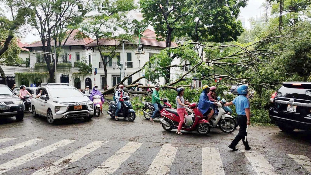 Nhiều tuyến phố bị ùn tắc sáng nay do cây xanh đổ lấn chiếm lòng đường.