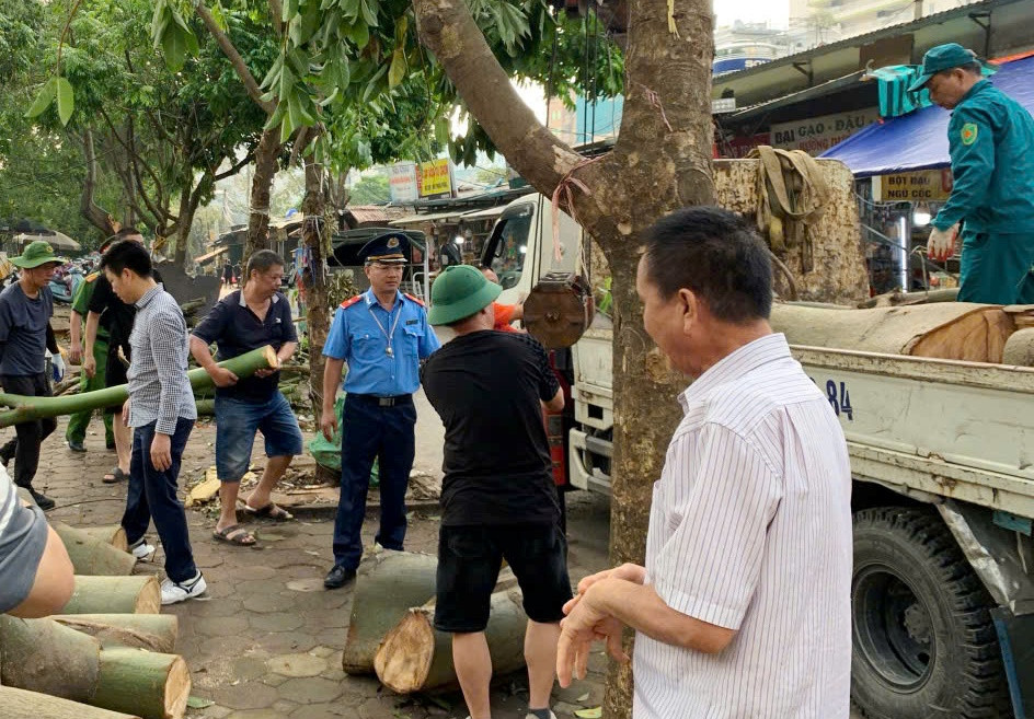 Tại quận Hà Đông do máy móc thu dọn, di chuyển cây xanh đổ của thành phố và quận hạn chế, nên Đội Thanh tra giao thông quận Hà Đông (Thanh tra Sở GTVT) và Công an quận đã kêu gọi, huy động từ các sự hỗ trợ bên ngoài để đảm bảo tiến độ và hiệu quả công việc. Tại quận Hà Đông do máy móc thu dọn, di chuyển cây xanh đổ của thành phố và quận hạn chế, nên Đội Thanh tra giao thông quận Hà Đông (Thanh tra Sở GTVT) và Công an quận đã kêu gọi, huy động từ các sự hỗ trợ bên ngoài để đảm bảo tiến độ và hiệu quả công việc.