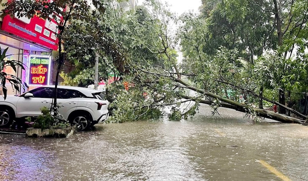 Mưa ngập, cây đổ trên đường phố Hà Nội chiều nay.