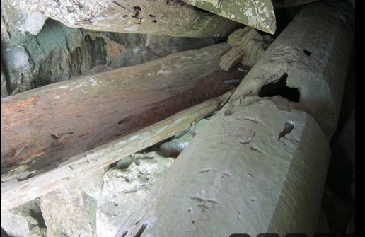 Những chiếc hòm có chiều dài hơn 3m, rộng 40- 50 cm đã bắt đầu mục