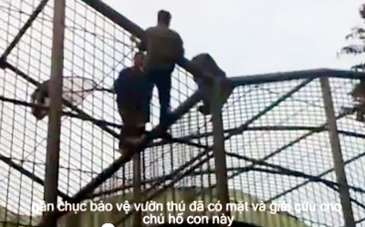 Các nhân viên bảo vệ 