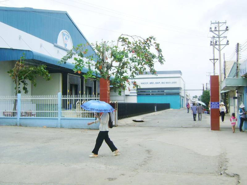 Các xí nghiệp chế biến thủy sản ở TP Cà Mau vắng công nhân vì mất điện