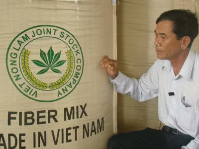 Ông Hồ Sáu và sản phẩm thức ăn cho bò sữa . Ông Hồ Sáu và sản phẩm thức ăn cho bò sữa