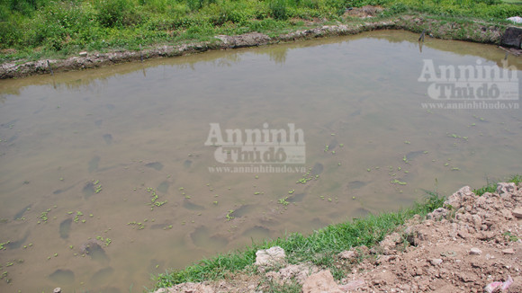 Hiện trường nơi xảy ra sự việc. Hiện trường nơi xảy ra sự việc