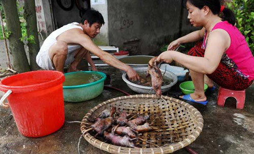 Sơ chế trước khi đem ra chợ bán