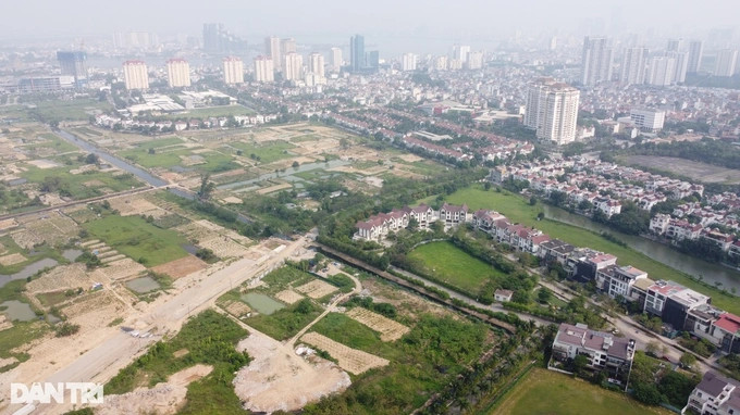 Phần lớn diện tích đất thu hồi để thực hiện dự án Ciputra đang được người dân phường Phú Thượng trồng đào (Ảnh: Hà Phong).