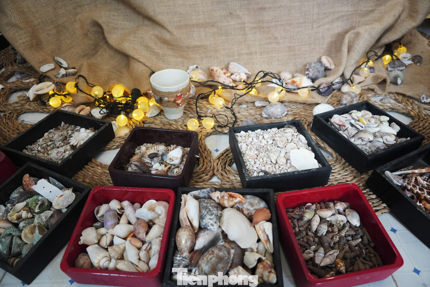 Để làm những tác phẩm từ vỏ ốc, chị đã đặt mua vỏ ốc của người dân khắp bờ biển các tỉnh Vũng Tàu, Nha Trang, Phú Yên và cũng có những vỏ ốc mà chị tự đi gom nhặt ở bãi biển sau mỗi mùa mưa… Sau khi gom vỏ ốc về, chị Hiếu chỉ rửa sạch bằng nước thường và không dùng hóa chất để tẩy hay tạo màu bởi: &quot;Mỗi một vỏ ốc có một cái vân riêng giống như con người ai cũng có giá trị riêng nên tôi muốn để tự nhiên cho tác phẩm có ý nghĩa hơn&quot;, chị Hiếu bộc bạch.