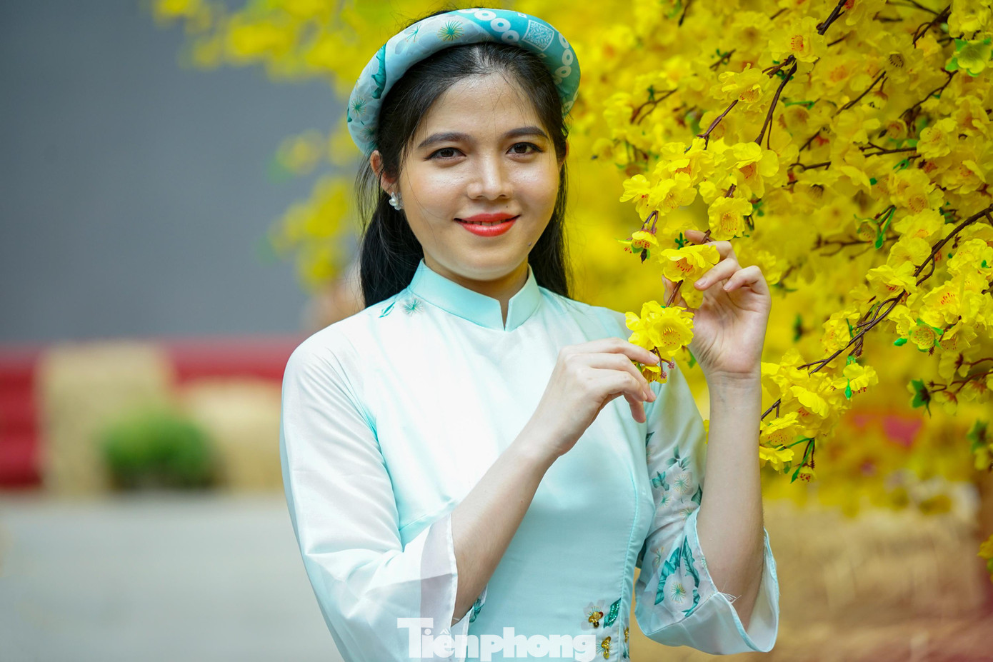 Chị Phạm Tuyết Trinh (Q5, TPHCM) dịu dàng tạo dáng trong chiếc áo dài trắng bên cây mai vàng.