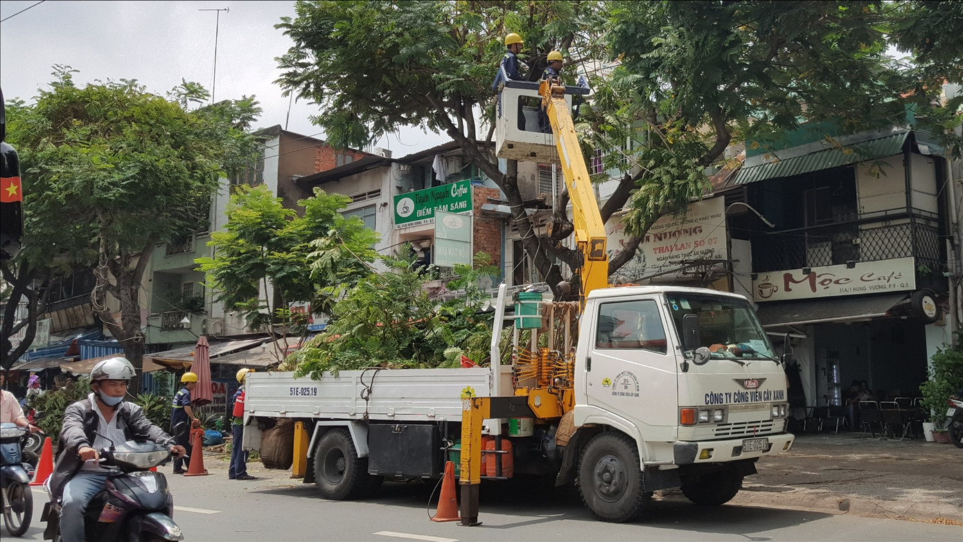 Sở GTVT TPHCM yêu cầu tránh thực hiện duy tu thoát nước, chiếu sáng và mé nhánh, tỉa cành cây xanh vào khung giờ cao điểm để hạn chế ùn ứ giao thông. Ảnh minh họa: HỮU HUY