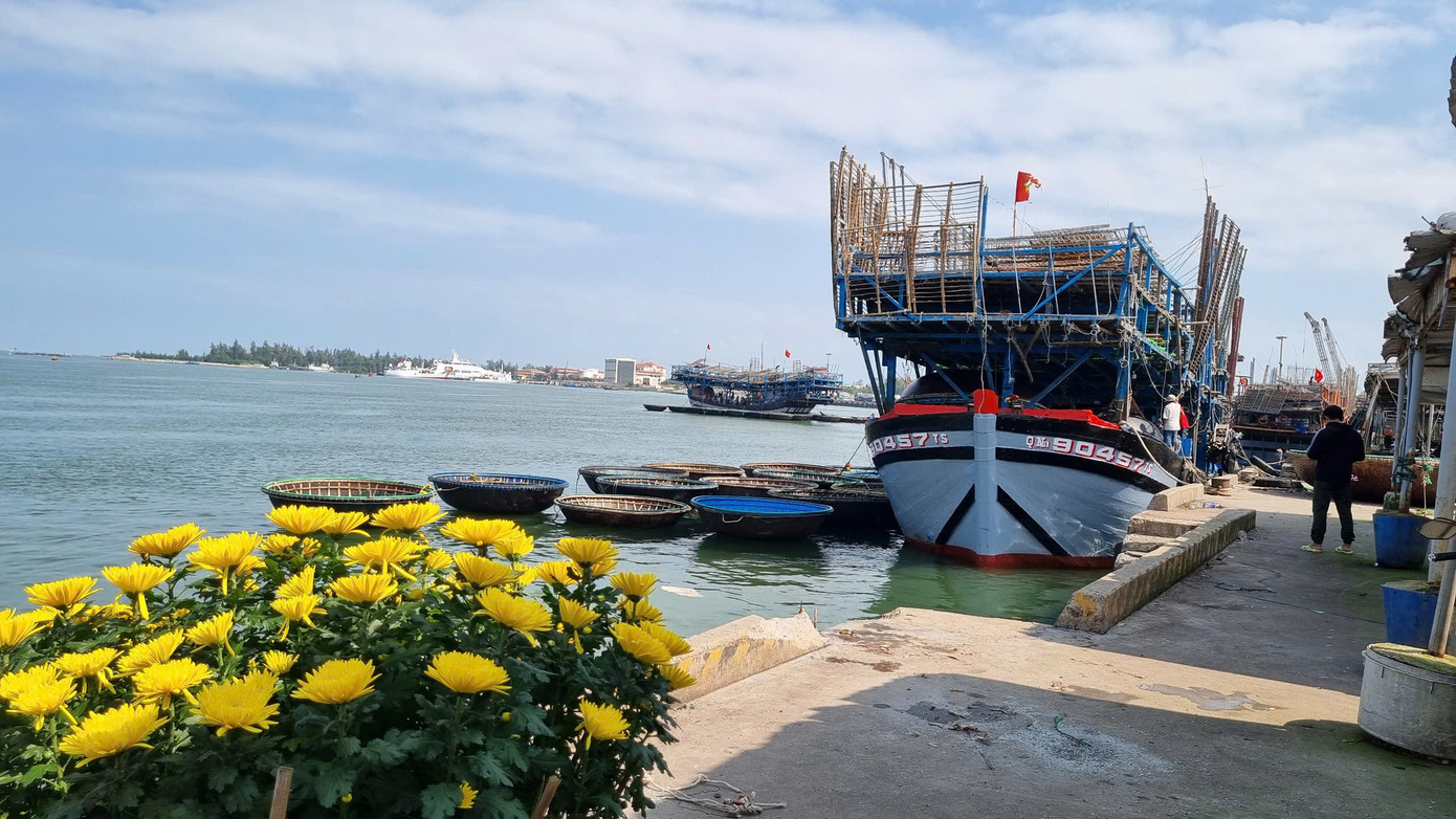 Chuyến vươn khơi đầu năm mang theo hy vọng may mắn đón lộc biển, tàu thuyền ăm ắp cá mực.