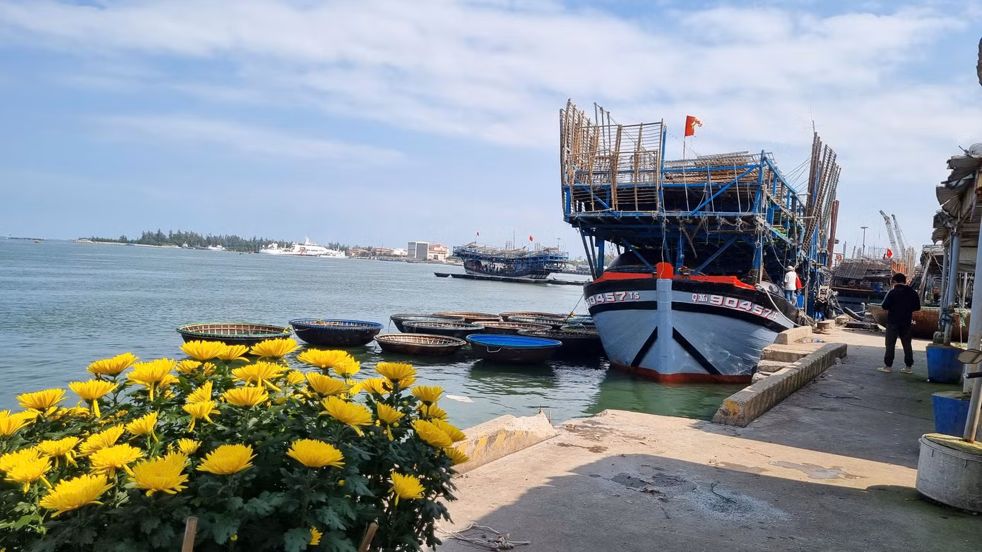 Chuyến vươn khơi đầu năm mang theo hy vọng may mắn đón lộc biển, tàu thuyền ăm ắp cá mực.