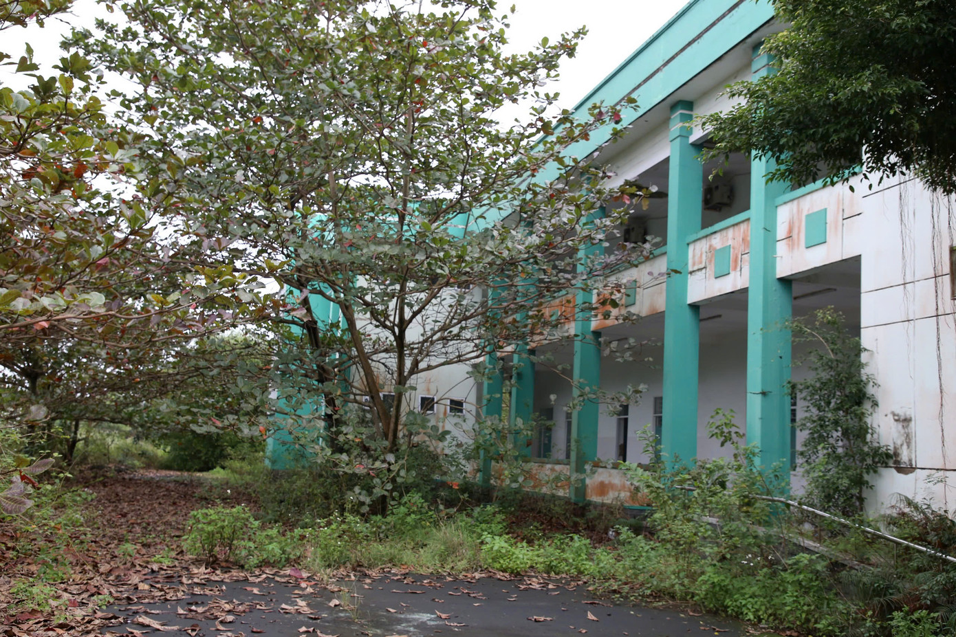 Phòng khám toạ lạc trên khu đất rộng 2,5ha, với các hạng mục gồm dãy nhà 2 tầng, tổng diện tích sàn gần 4.500m2 và hệ thống hạ tầng kỹ thuật cấp điện, cấp thoát nước, hệ thống phòng cháy chữa cháy cùng nhiều hạng mục khác.