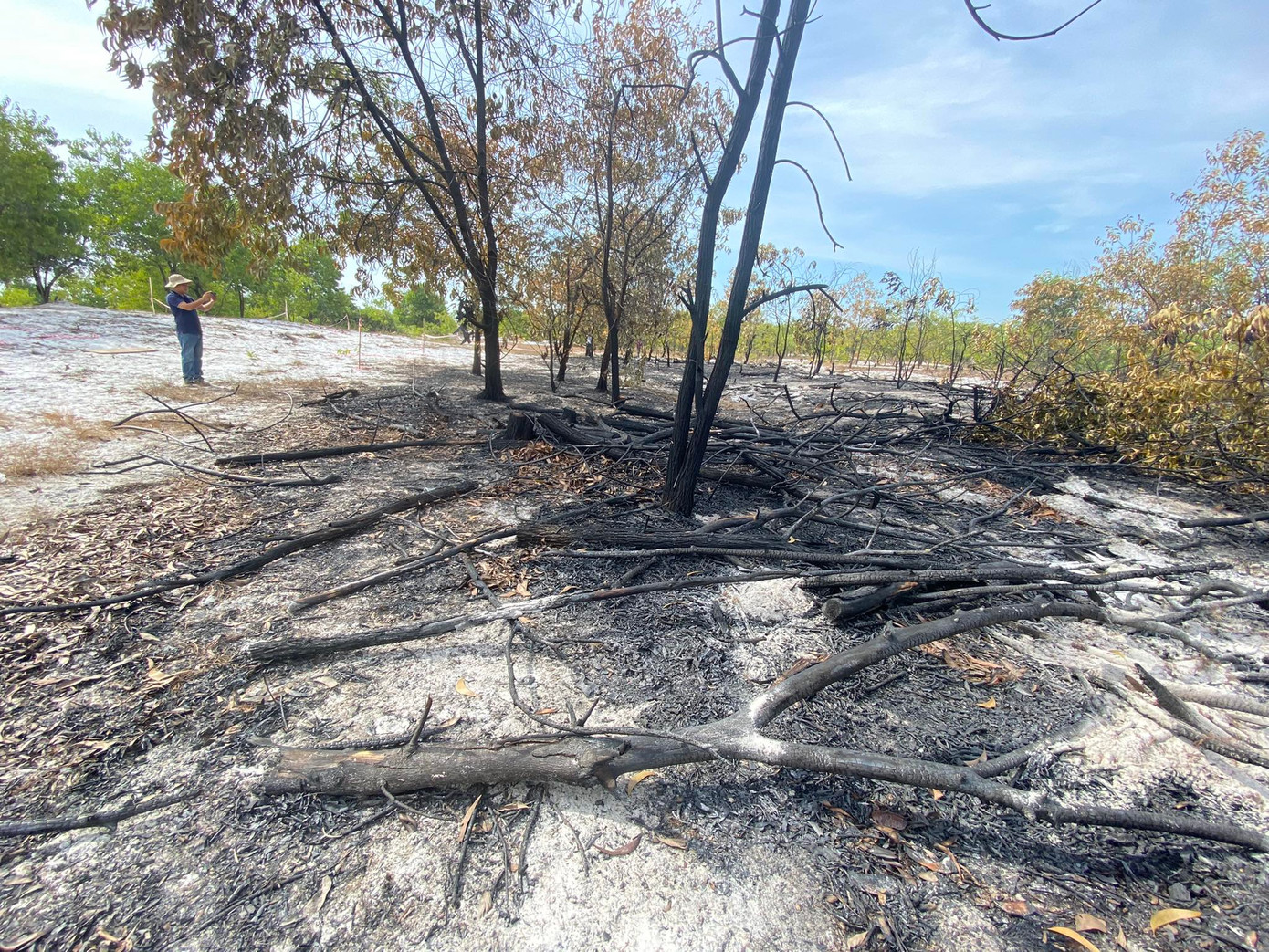 Diện tích rừng được khoanh vùng để tổ chức diễn tập là 500 m2, thuộc khu vực rừng trồng thôn Bình Túc, xã Bình Sa. Diện tích rừng được khoanh vùng để tổ chức diễn tập là 500 m2, thuộc khu vực rừng trồng thôn Bình Túc, xã Bình Sa.