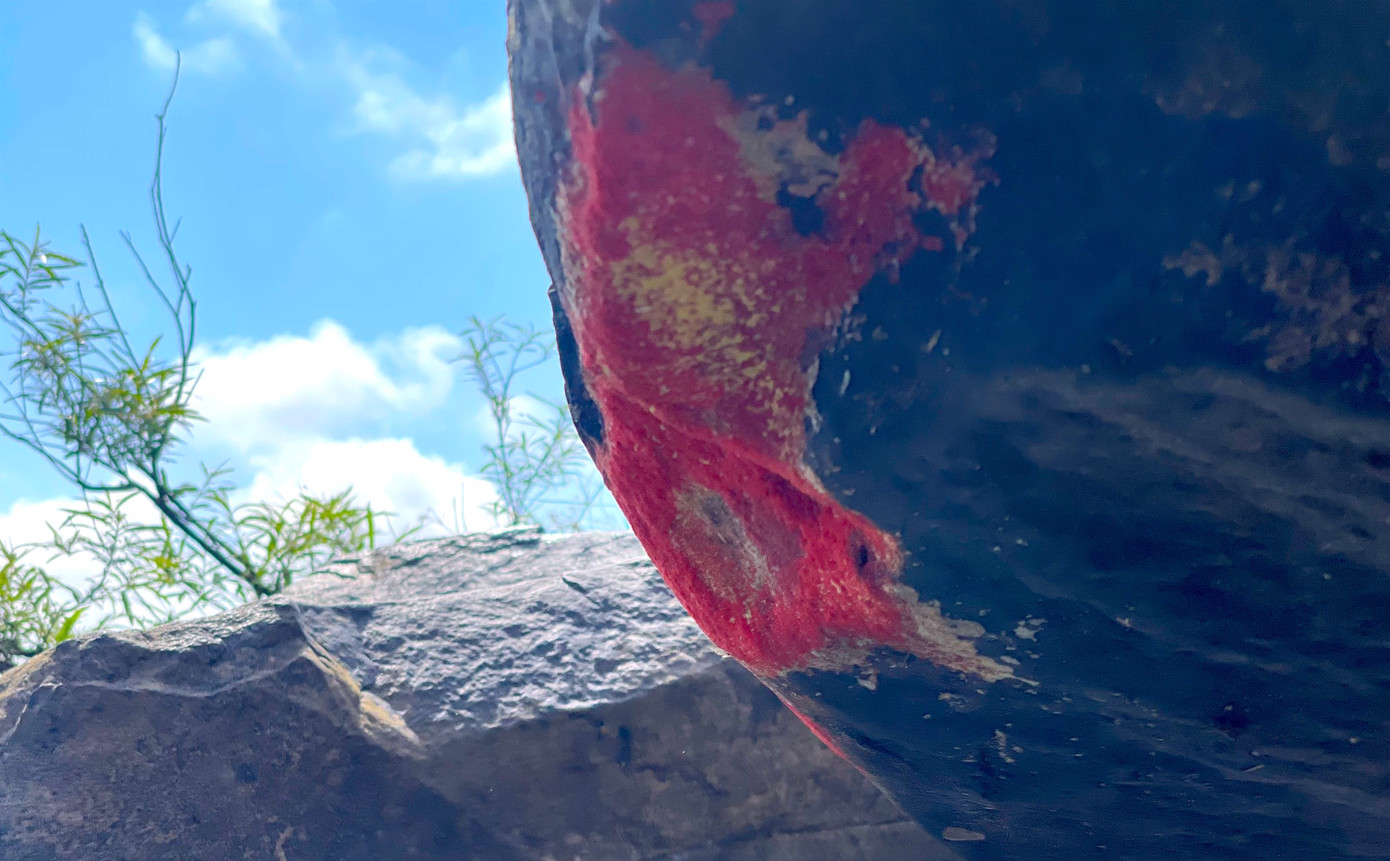 Hình ảnh phiến đá xuất hiện hiện tượng lạ giống &apos;nở hoa&apos;.