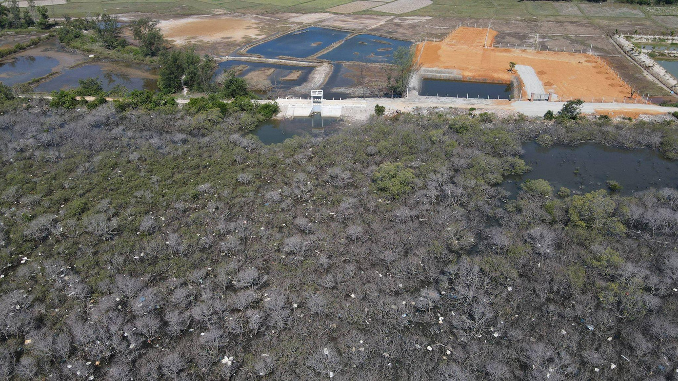 Theo thống kê có khoảng 7,5 ha rừng tự nhiên đã chết.