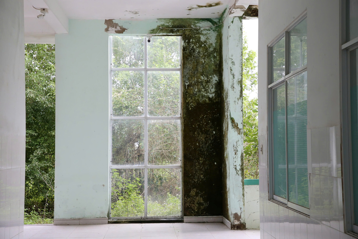 Ghi nhận của PV, khuôn viên phòng khám cỏ dại vây kín. Nhiều hạng mục của công trình đã xuống cấp, hư hỏng nặng.