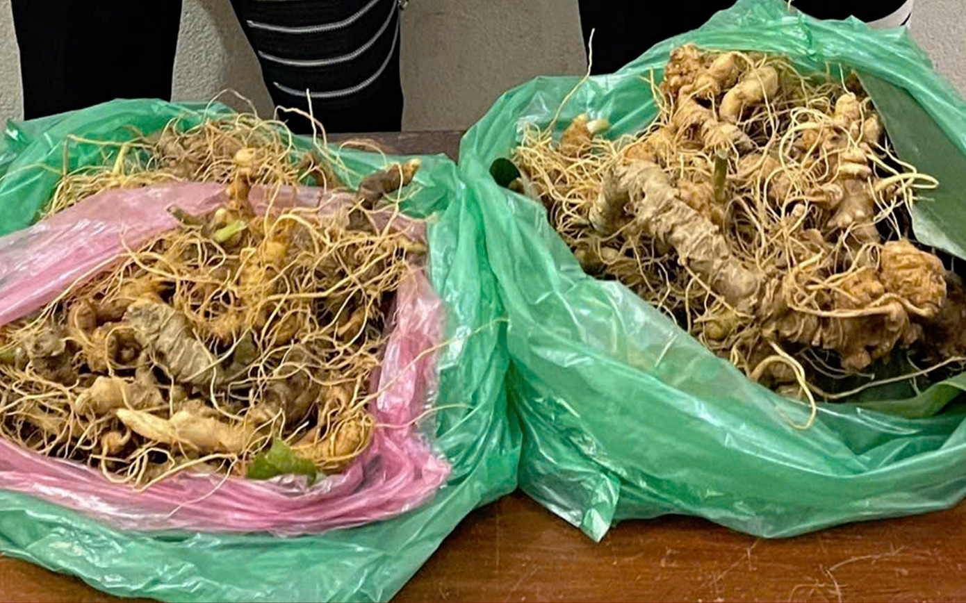 Tang vật vụ án. Tang vật vụ án.