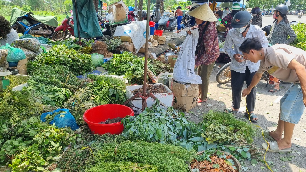 Theo quan niệm dân gian, vào đúng 12 giờ ngày 5/5 âm lịch là Tết 'diệt sâu bọ' (Tết Đoan Ngọ), nhiều người lấy nhiều loại lá rừng chặt nhỏ phơi khô làm nước uống có thể "chữa" được nhiều bệnh.