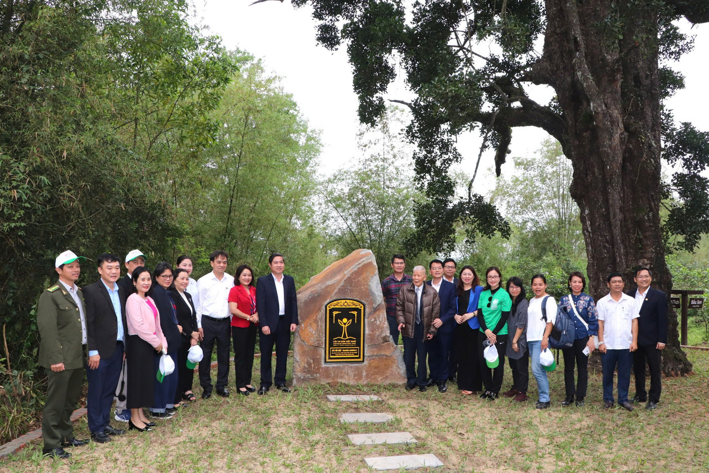 Công nhận Cây di sản Việt Namcho cây rỏi mật tại Địa đạo Kỳ Anh, TP. Tam Kỳ, Quảng Nam. Công nhận Cây di sản Việt Namcho cây rỏi mật tại Địa đạo Kỳ Anh, TP. Tam Kỳ, Quảng Nam.