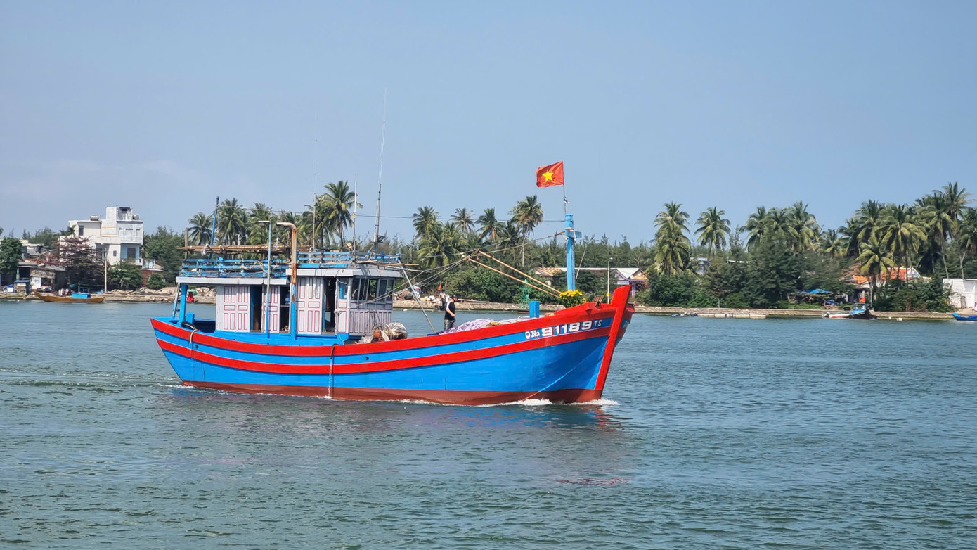 Chuyến vươn khơi đầu năm mang theo hy vọng may mắn đón lộc biển, tàu thuyền ăm ắp cá mực.