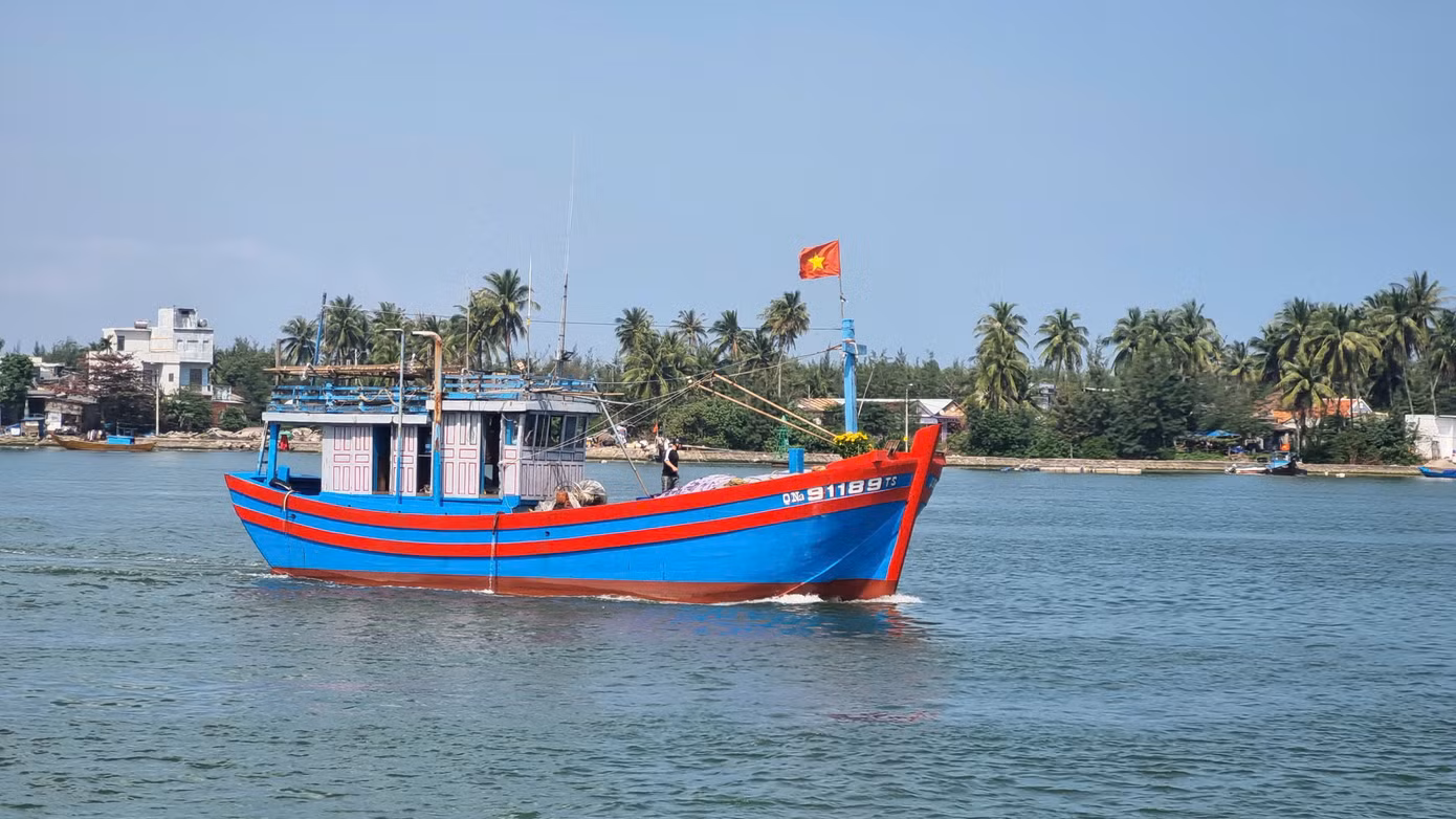 Chuyến vươn khơi đầu năm mang theo hy vọng may mắn đón lộc biển, tàu thuyền ăm ắp cá mực.