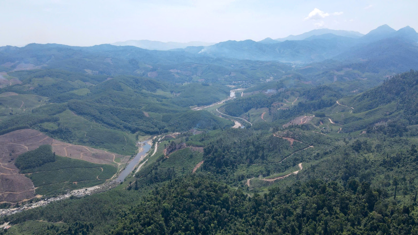 Quảng Nam xếp thứ 2 cả nước về diện tích rừng, xếp thứ 6 về độ che phủ rừng. Quảng Nam xếp thứ 2 cả nước về diện tích rừng, xếp thứ 6 về độ che phủ rừng.