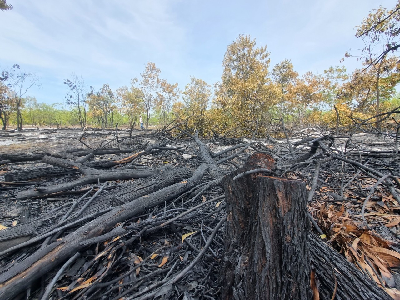 Hình ảnh sau buổi diễn tập PCCC. Hình ảnh sau buổi diễn tập PCCC.