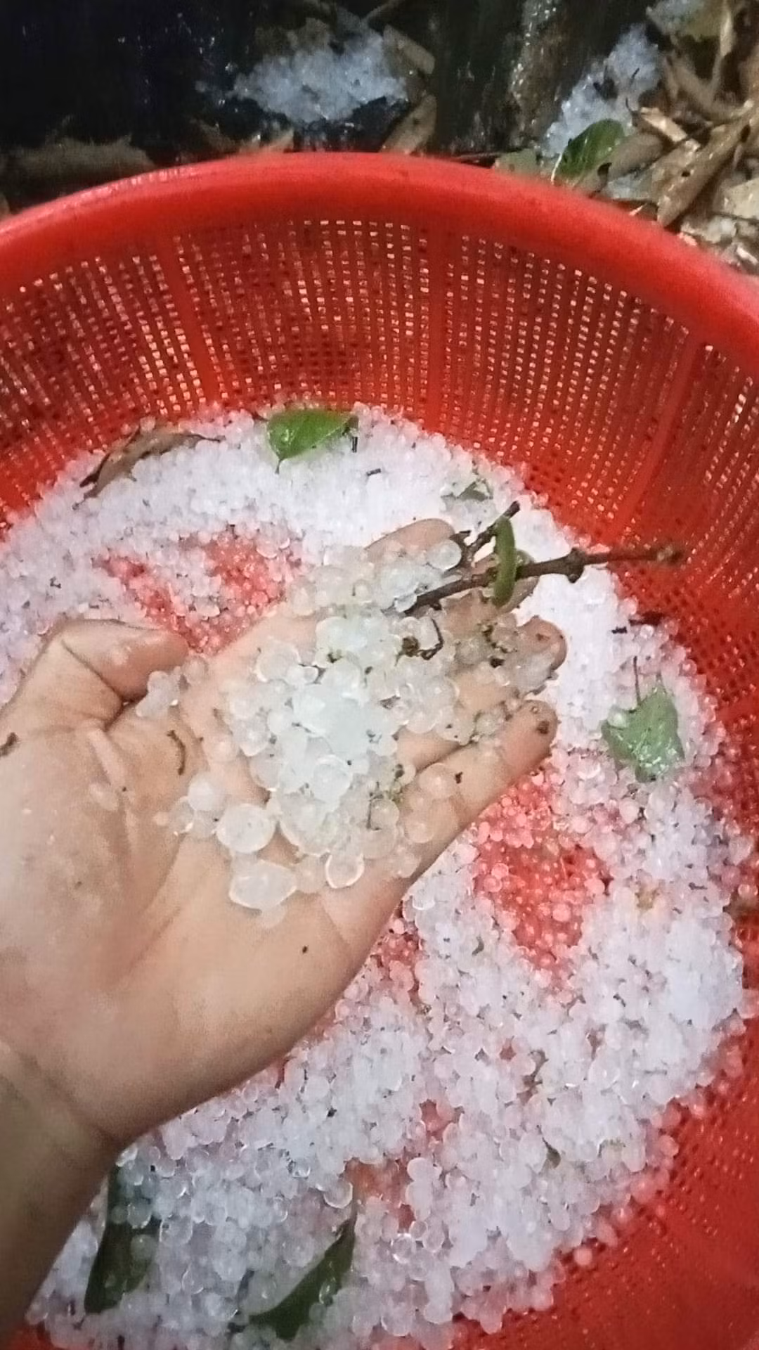 Những viên đá to bằng đầu ngón tay được ghi nhận trong cơn mưa. Ảnh FB