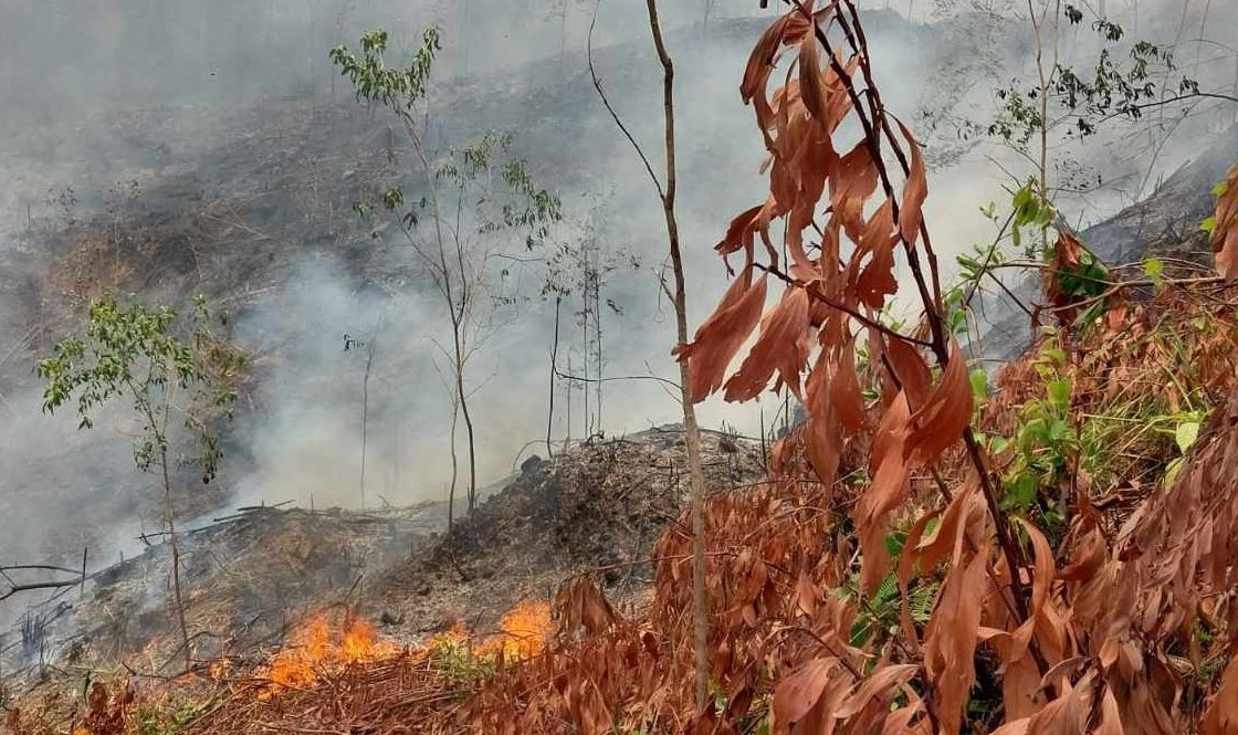 Hiện trường vụ cháy. Ảnh CTV