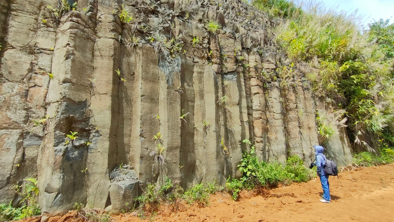 Những trụ đá dạng cột, xếp liền nhau theo chiều thẳng đứng, đều tắp.