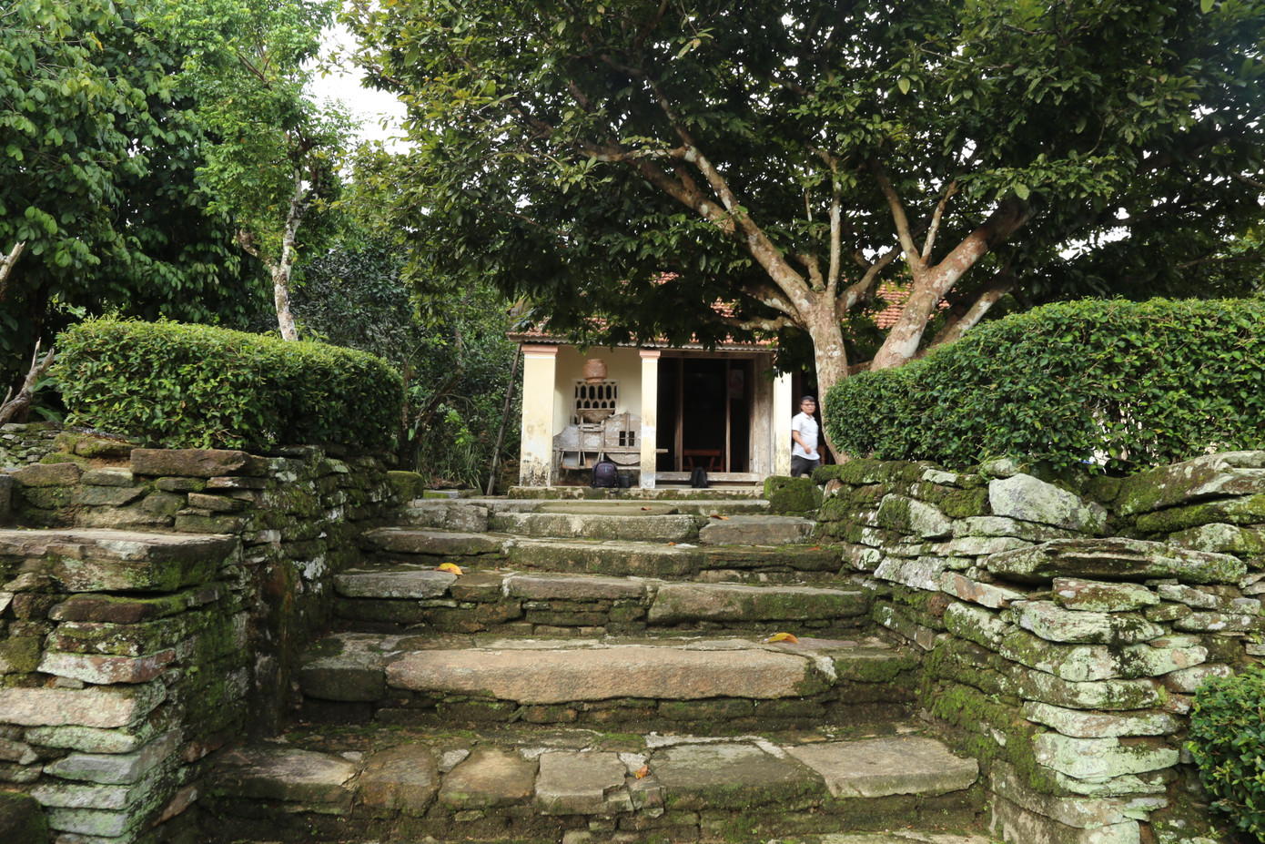 Ngõ đá dẫn vào nhà.