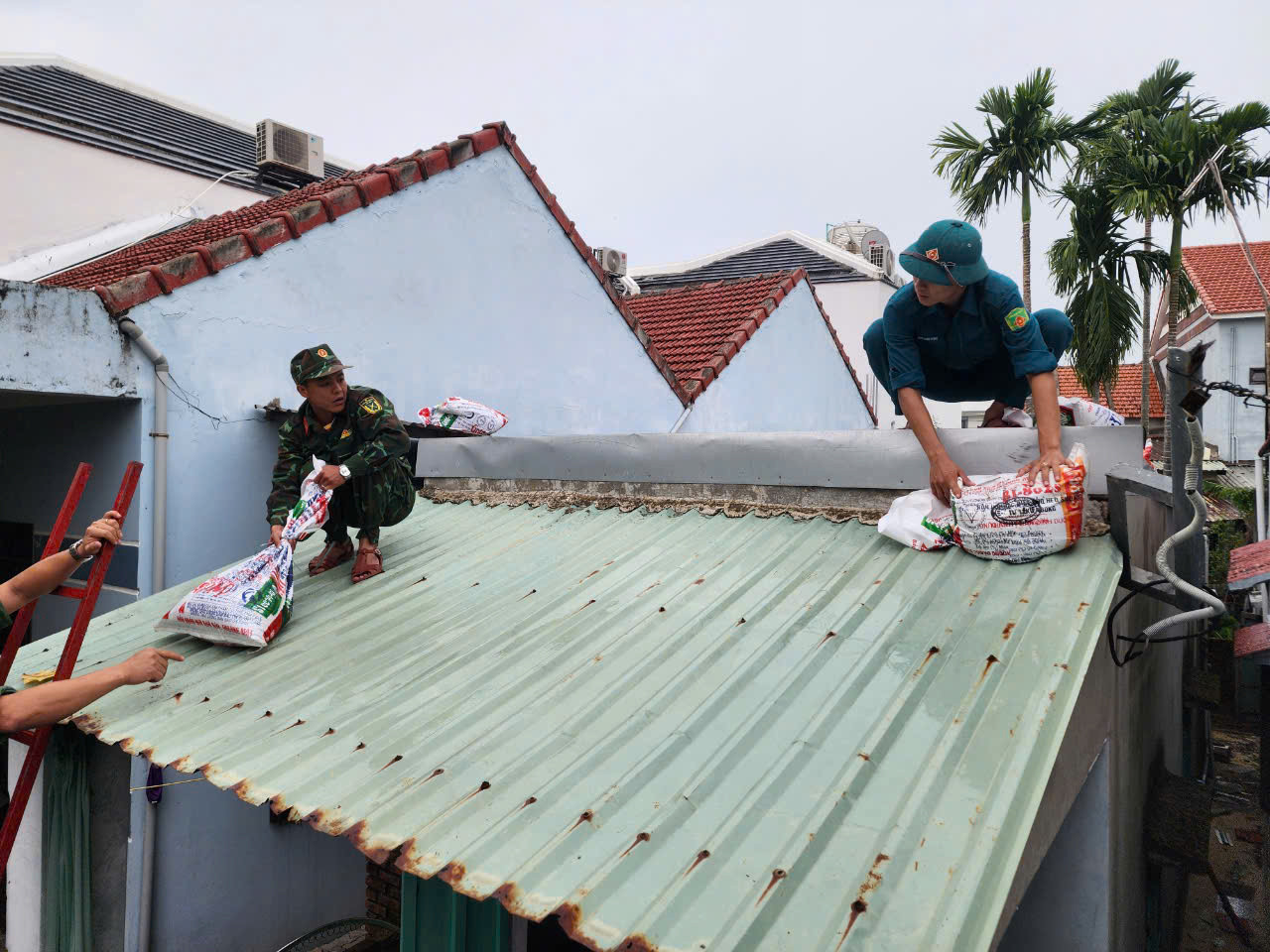 Dùng bao cát chằng chống mái nhà.