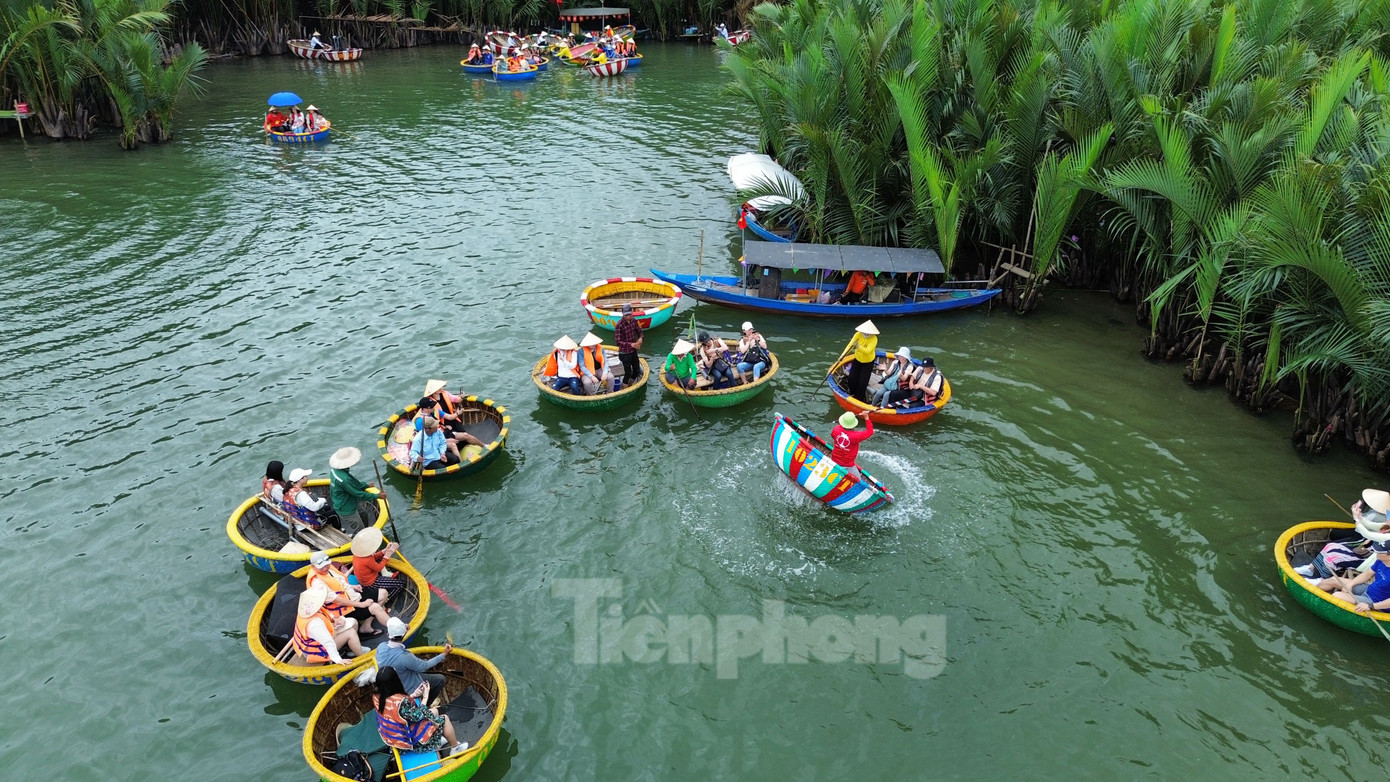 Rất đông du khách tham quan, trải nghiệm ở rừng dừa Bảy Mẫu, Hội An. Ảnh: Hoài Văn Rất đông du khách tham quan, trải nghiệm ở rừng dừa Bảy Mẫu, Hội An. Ảnh: Hoài Văn