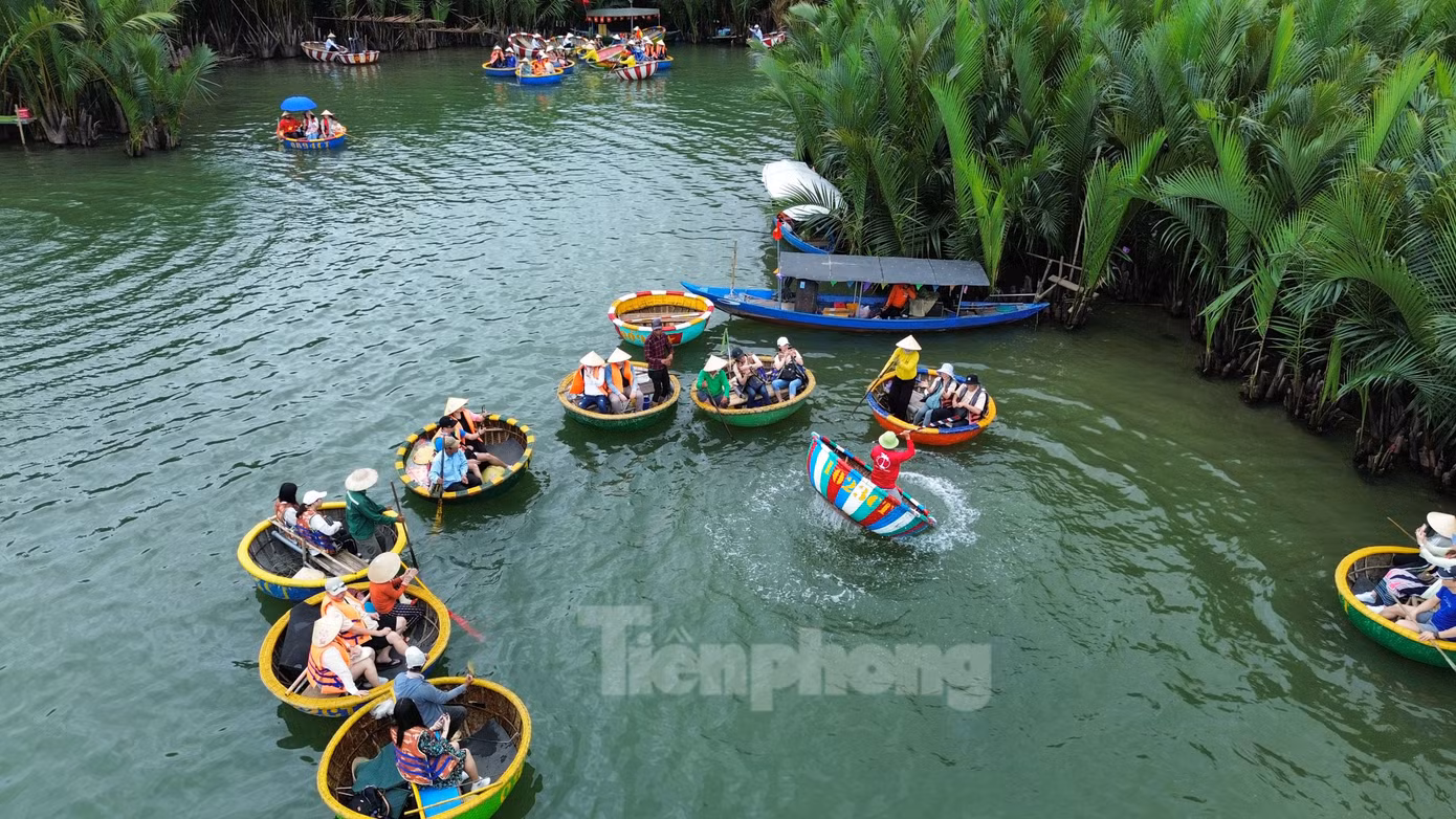 Rất đông du khách tham quan, trải nghiệm ở rừng dừa Bảy Mẫu, Hội An. Ảnh: Hoài Văn Rất đông du khách tham quan, trải nghiệm ở rừng dừa Bảy Mẫu, Hội An. Ảnh: Hoài Văn