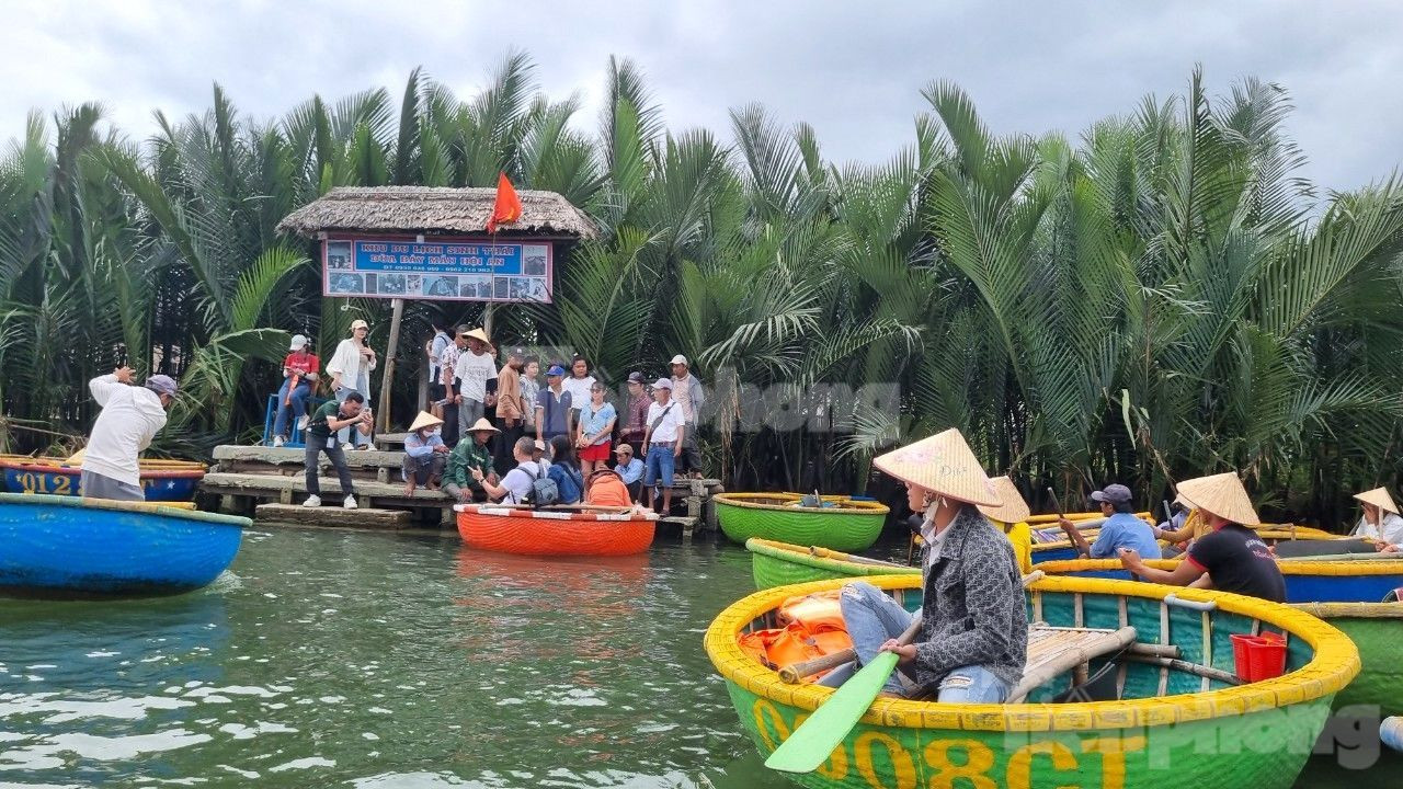 Ghi nhận của PV, hàng ngàn du khách đổ về các điểm du lịch Hội An, trong đó một trong những điểm hút khách là rừng dừa Bảy Mẫu. Ghi nhận của PV, hàng ngàn du khách đổ về các điểm du lịch Hội An, trong đó một trong những điểm hút khách là rừng dừa Bảy Mẫu.