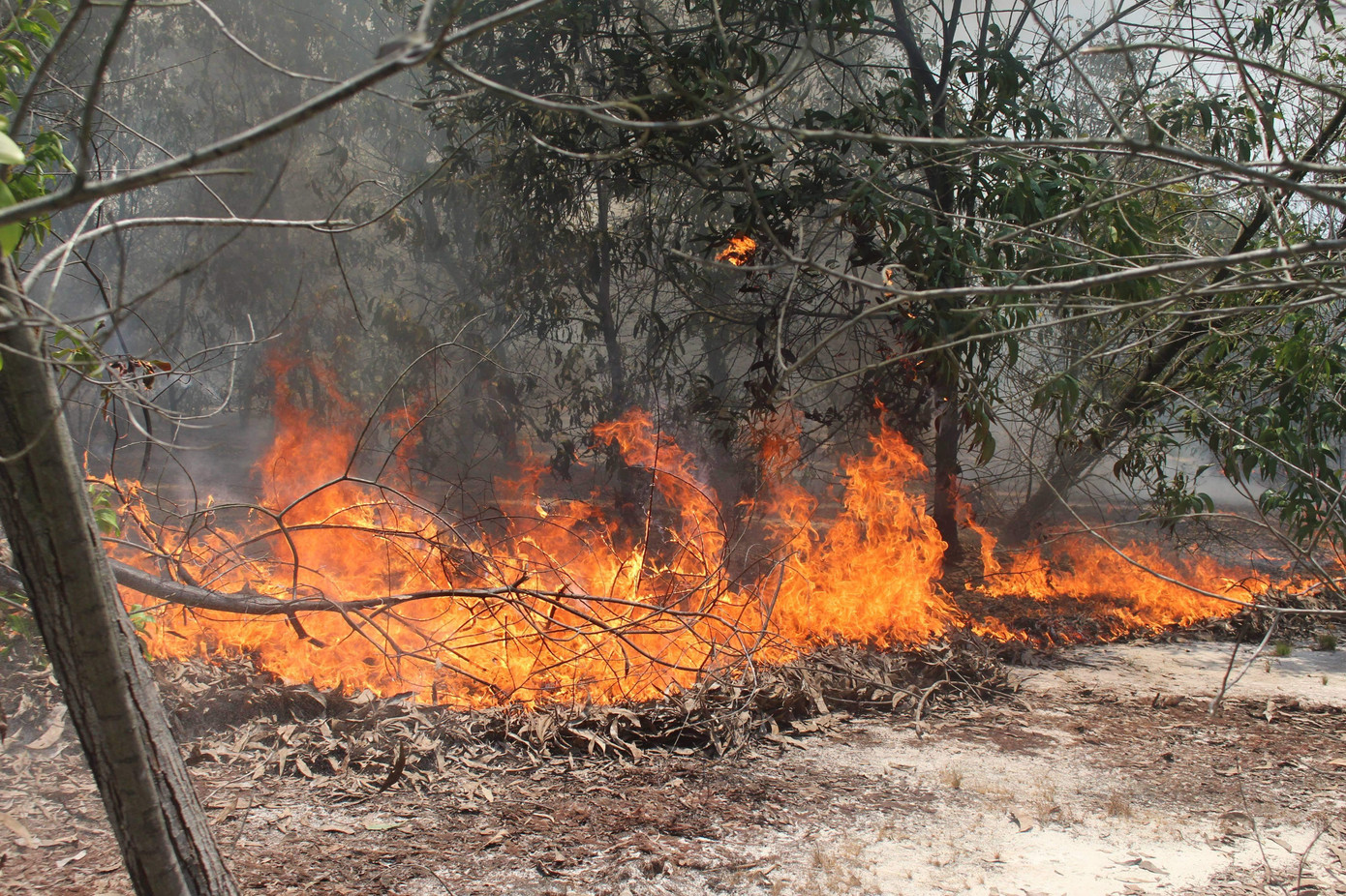 Hiện trường vụ cháy. Hiện trường vụ cháy.