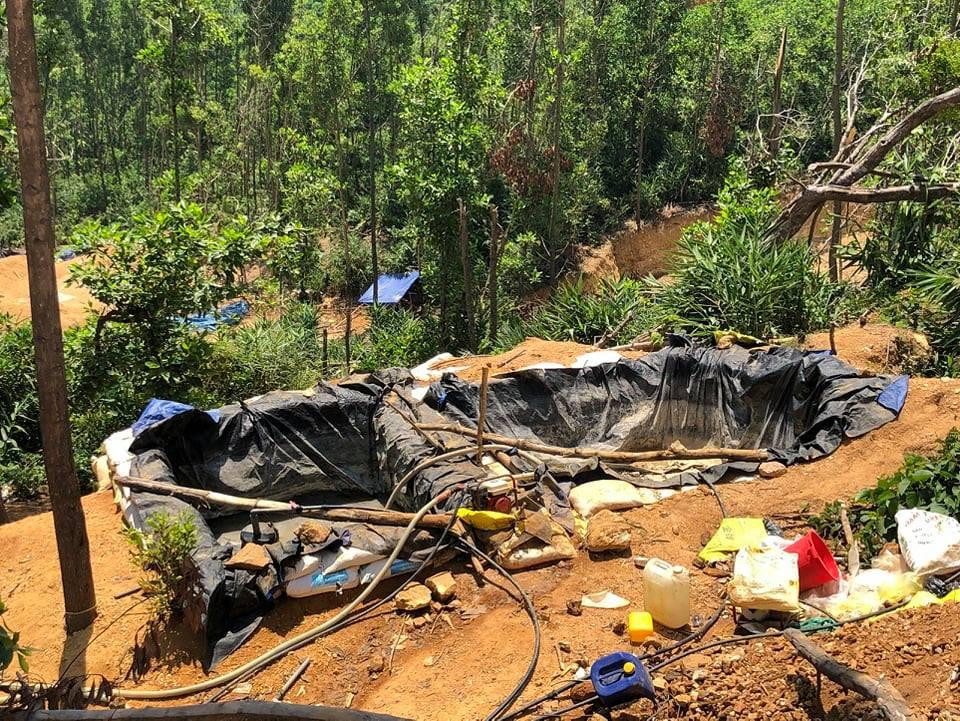 Các đối tượng dùng xe múc và xe cơ giới để khai thác vàng với quy mô lớn ngay trên đất trồng cây lâm nghiệp, gây ô nhiễm đất và nước của suối Thác Trắng.