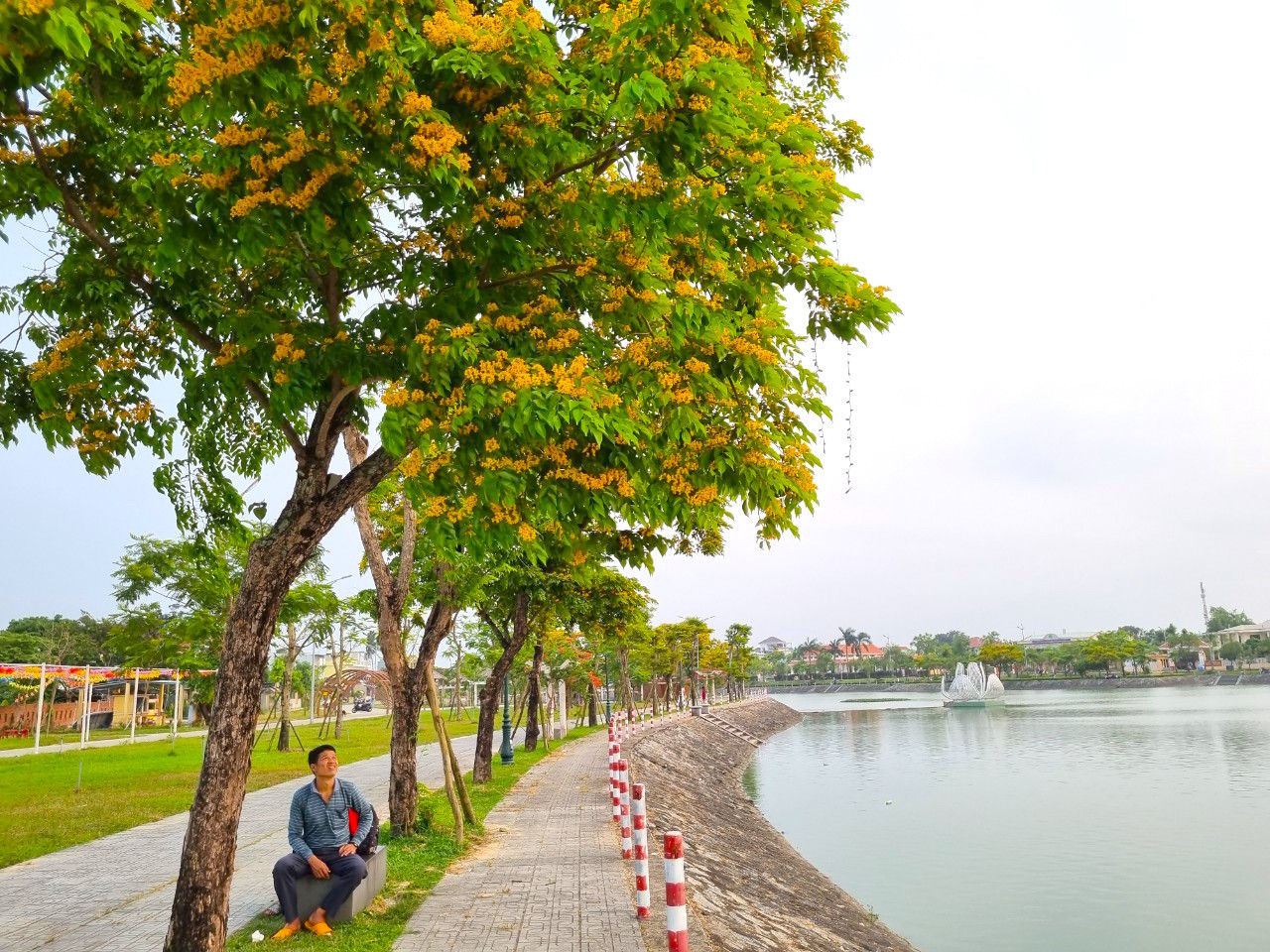Tháng Tư về, mùa sưa đầu tiên bung nở. Tháng Tư về, mùa sưa đầu tiên bung nở.