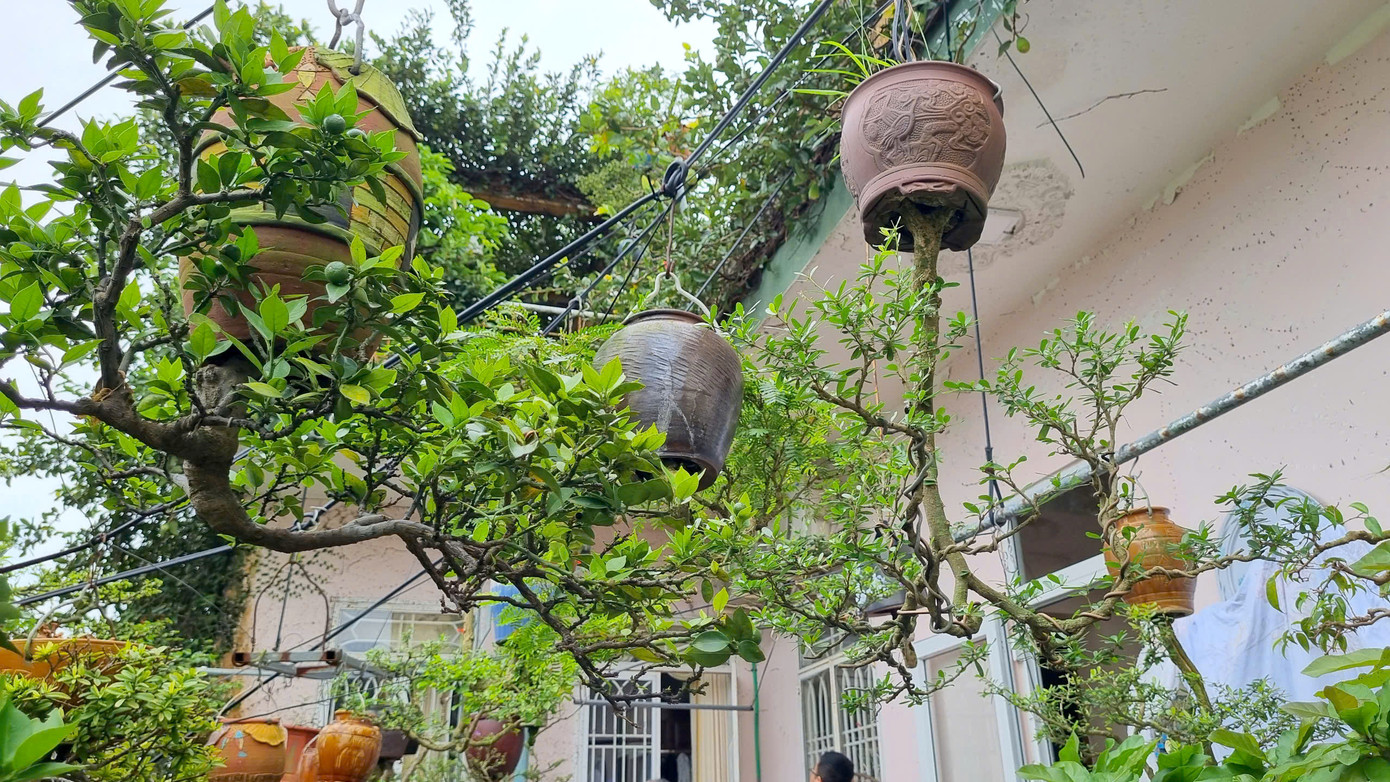 Khu ban công và sân thượng rộng khoảng 80 m2 được ông dùng làm không gian sáng tạo, trưng bày khoảng 100 chậu bonsai ngược.