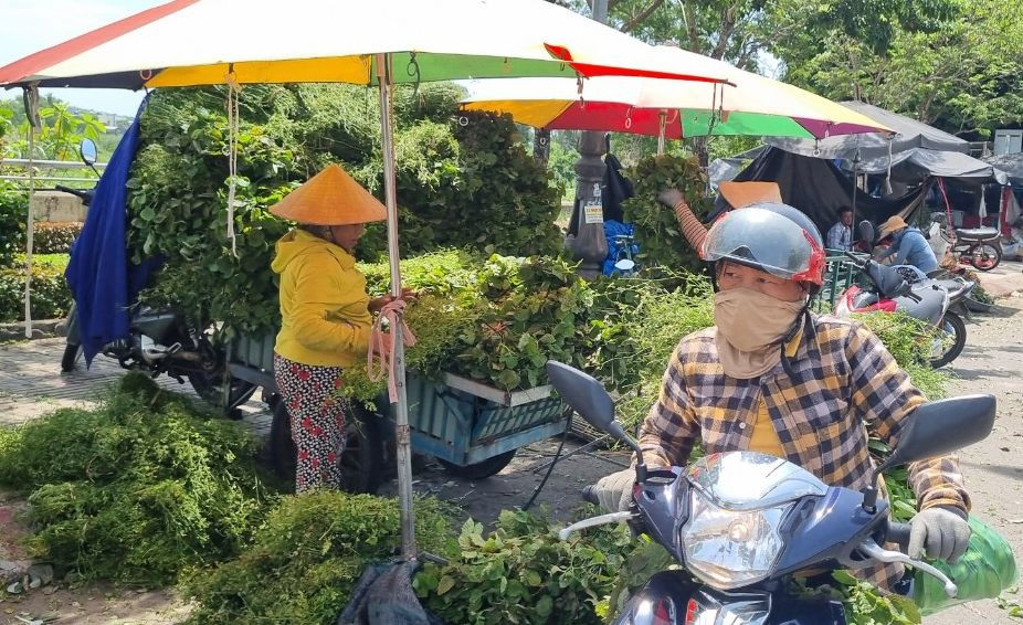 Tại nhiều chợ đã rộn ràng không khí tết Đoan Ngọ