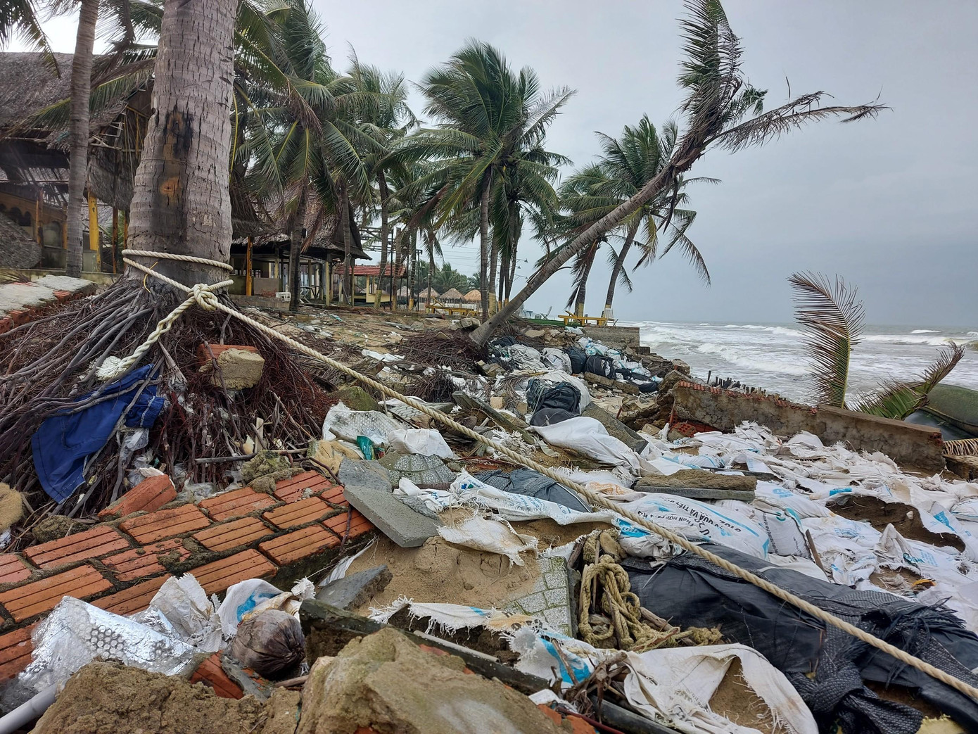 Vừa qua cơn bão số 9 (bão Rai) như thêm cú “bồi” khiến hàng trăm mét bờ biển Cửa Đại (TP Hội An, Quảng Nam) liên tục bị sóng biển đánh vào làm sạt lở, xói mòn nghiêm trọng.