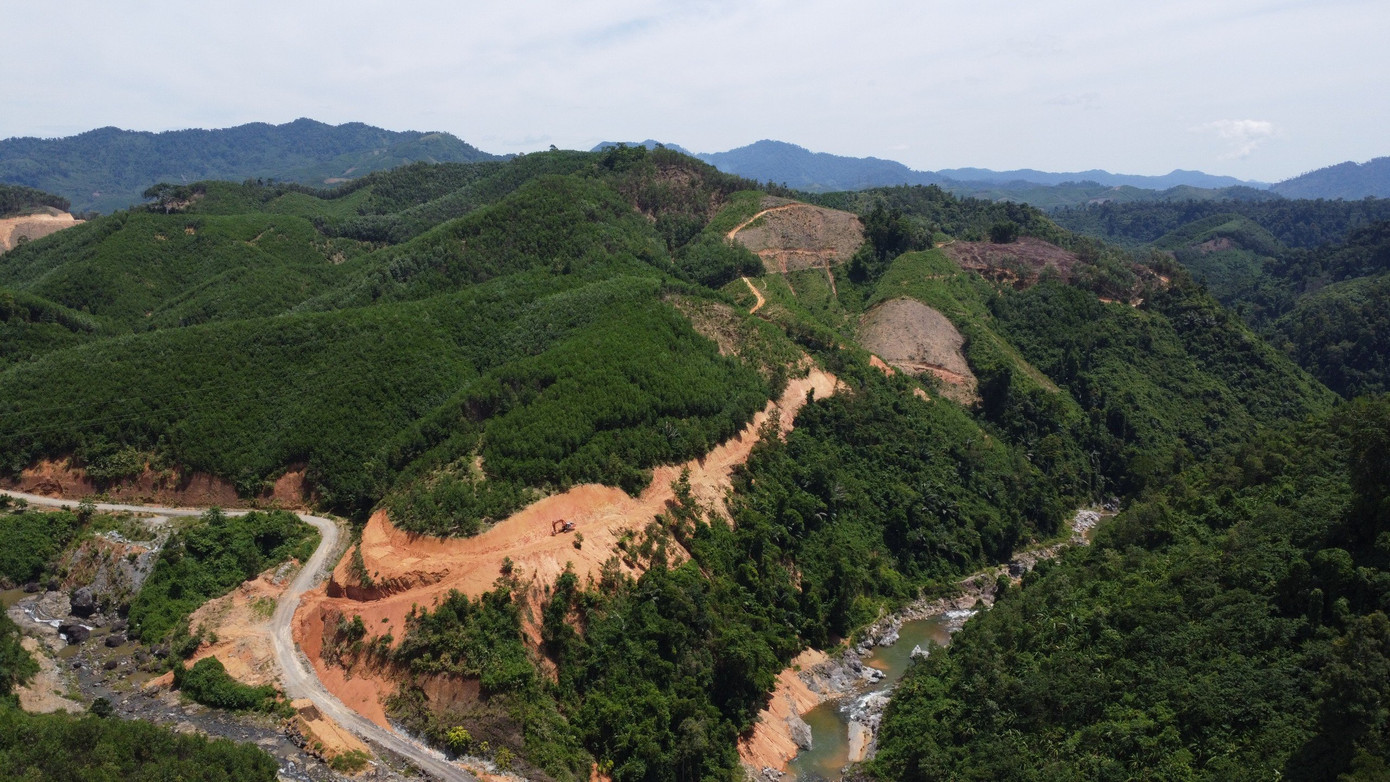 Khu vực rừng giáp ranh xã Phước Năng và Phước Đức, huyện Phước Sơn, Quảng Nam. Khu vực rừng giáp ranh xã Phước Năng và Phước Đức, huyện Phước Sơn, Quảng Nam.