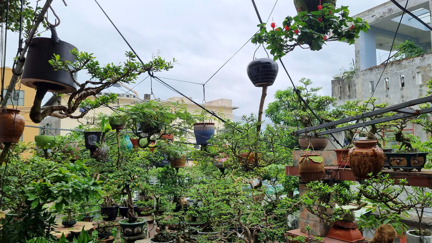 Khu ban công và sân thượng rộng khoảng 80 m2 được ông dùng làm không gian sáng tạo, trưng bày khoảng 100 chậu bonsai ngược.