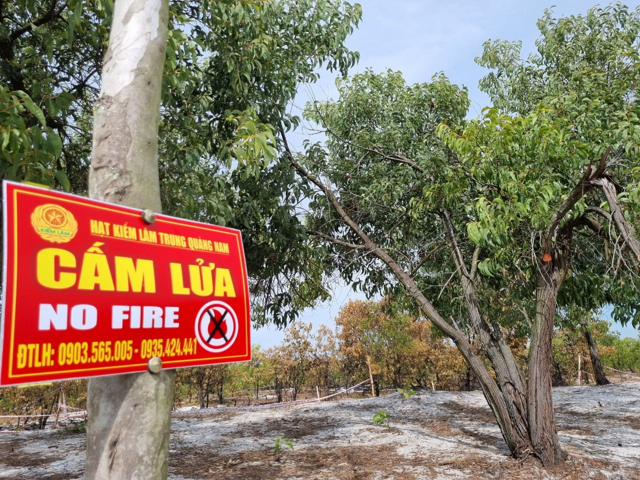 Khu vực rừng nơi vừa diễn ra buổi diễn tập PCCC rừng được khoanh dây, rào chắn Khu vực rừng nơi vừa diễn ra buổi diễn tập PCCC rừng được khoanh dây, rào chắn