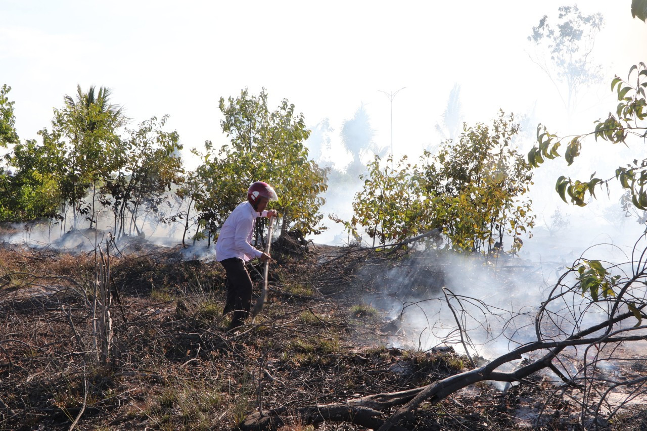 Nỗ lực dập lửa. Nỗ lực dập lửa.