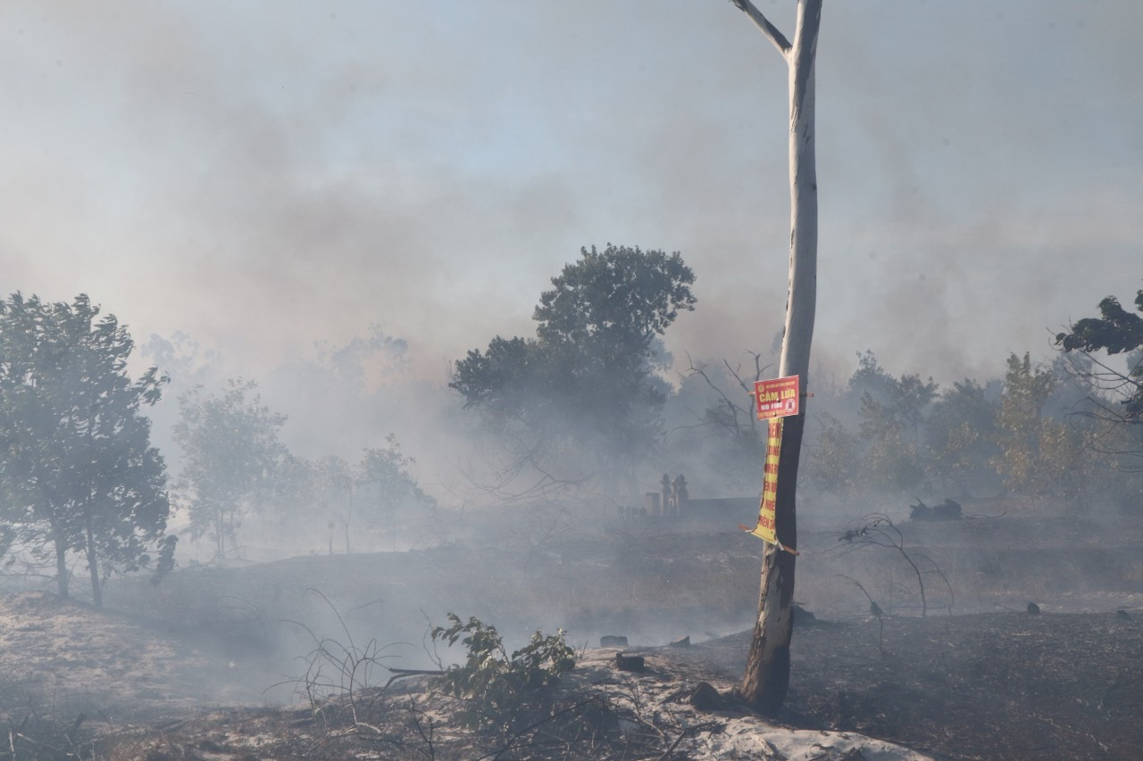 Hiện trường vụ cháy. Hiện trường vụ cháy.