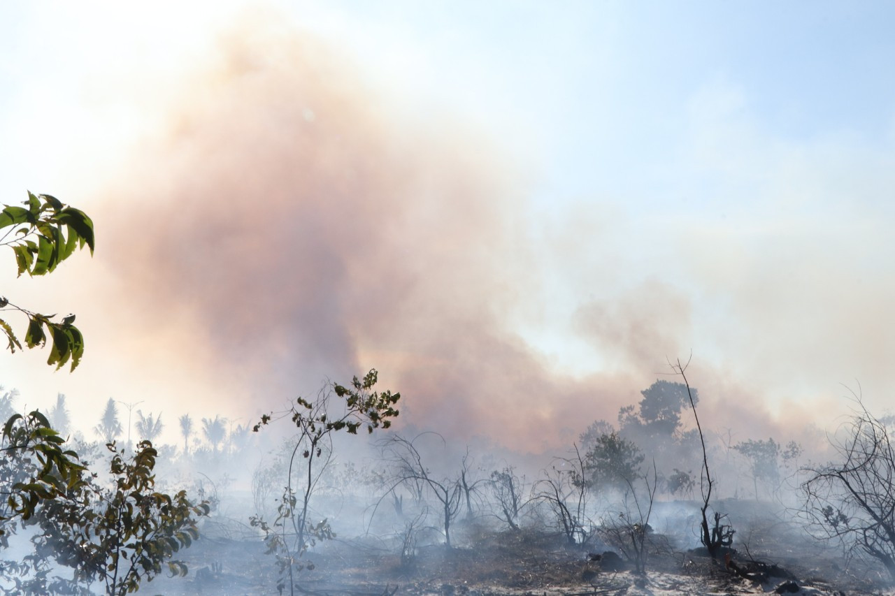 Hiện trường vụ cháy. Hiện trường vụ cháy.