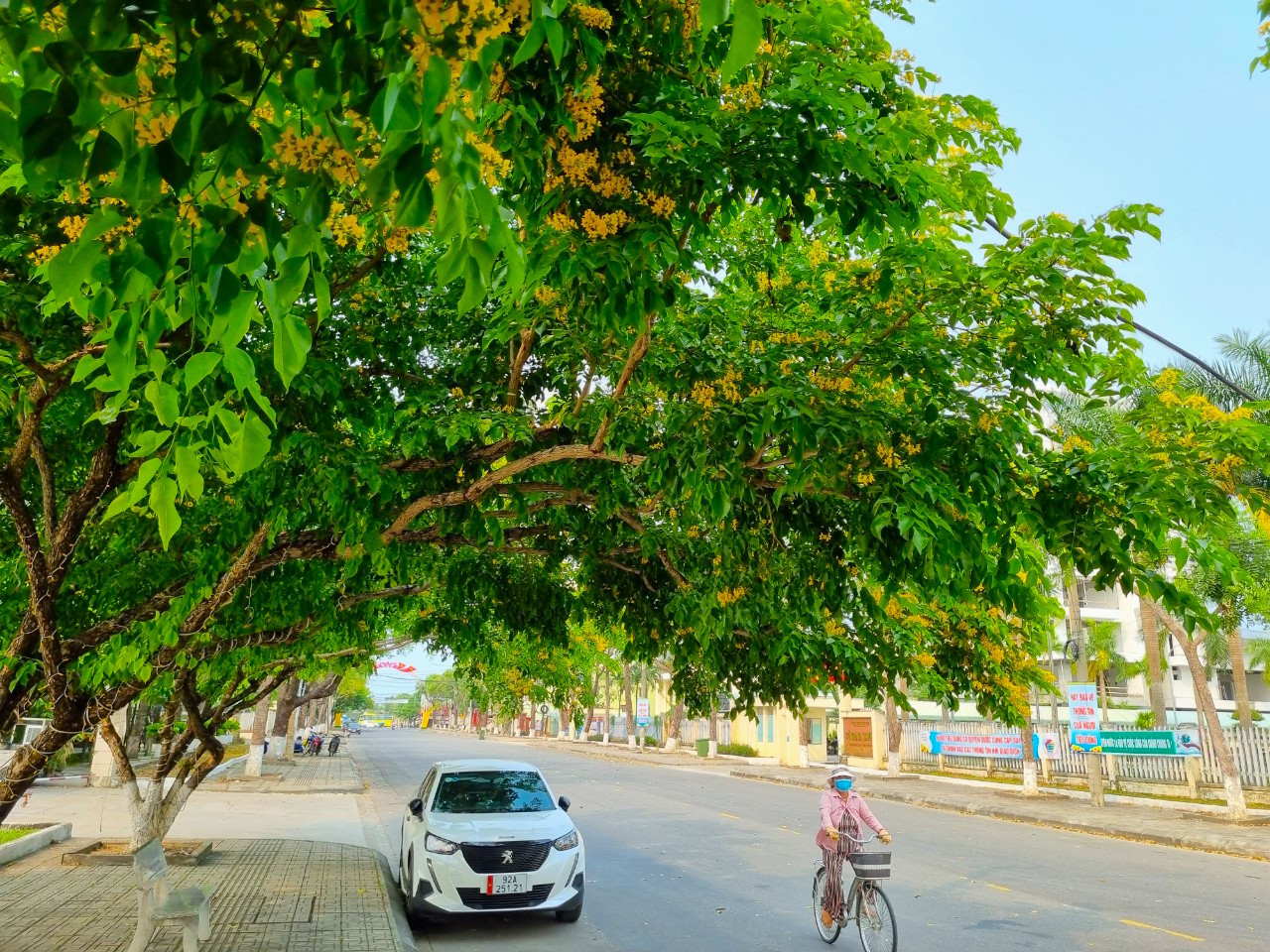 Phố Trần Hưng Đạo Phố Trần Hưng Đạo
