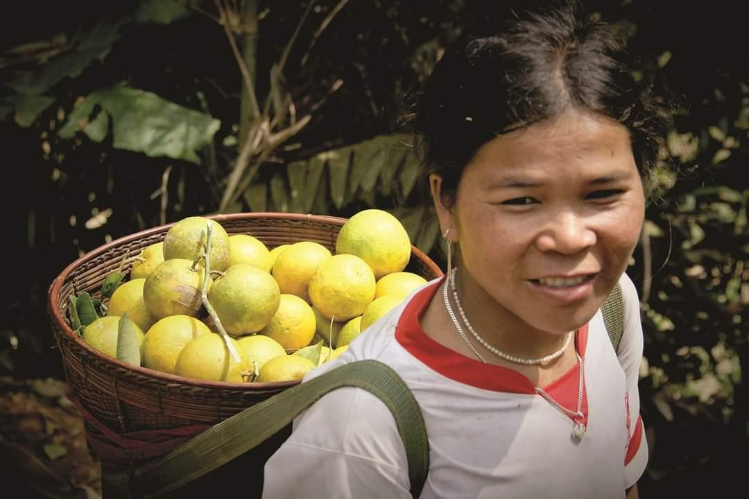 Nụ cười tươi với mùa cam bội thu.